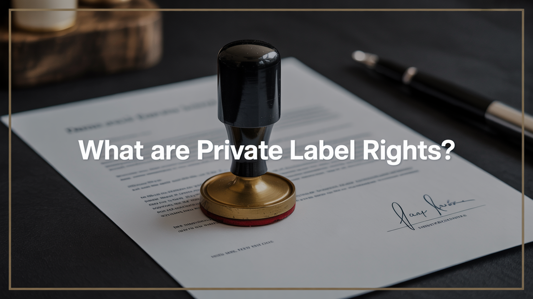 Benefits of Using Private Label Rights (PLR) for Your Business